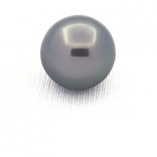 Perla di Tahiti Rotonda C/D 13.3 mm