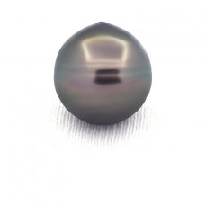 Perla di Tahiti Cerchiata C 14.1 mm