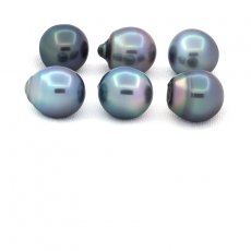 Lotto di 6 Perle di Tahiti Semi-Barocche C di 12.6 a 12.8 mm